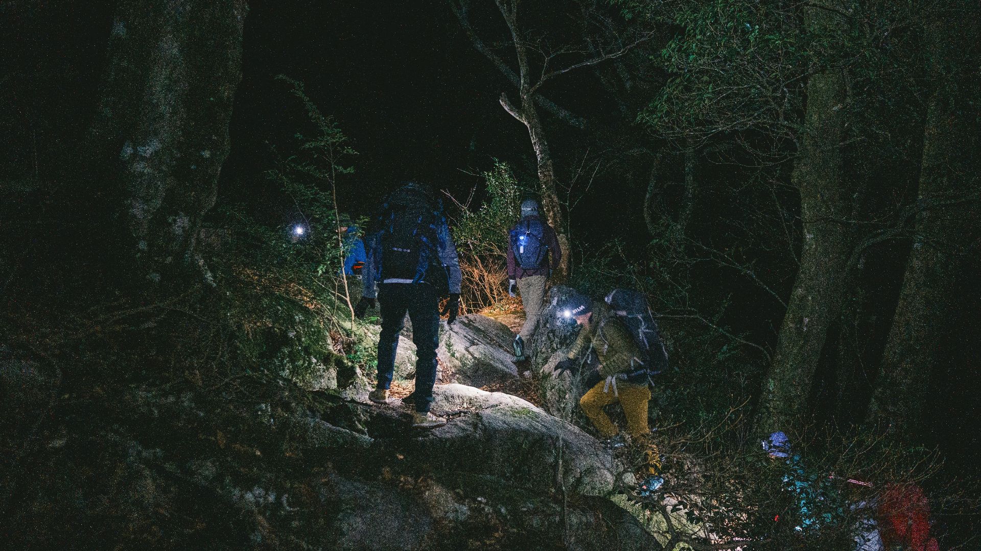 a group of people standing on top of a lush green forest