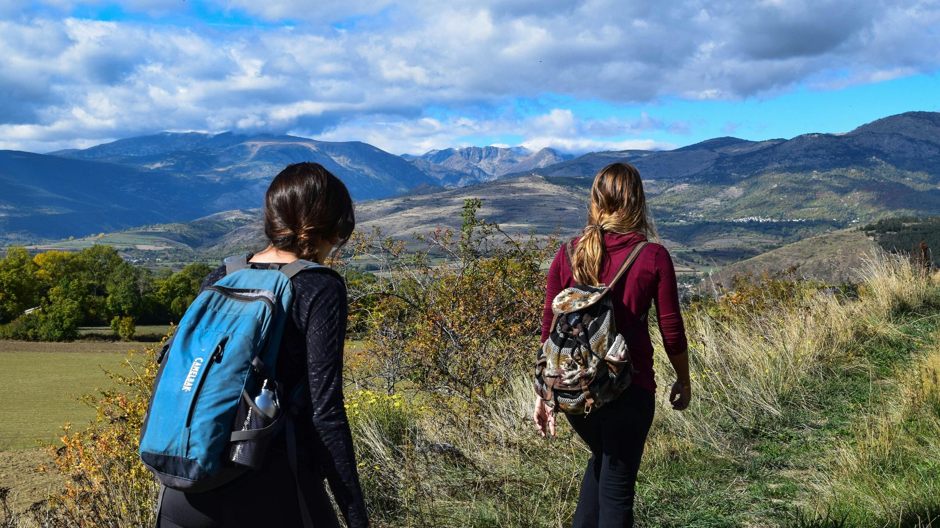 Nature-Walking Encounters Facts