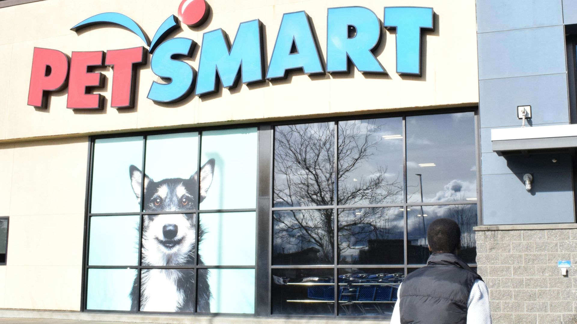 a man walking past a pet smart store