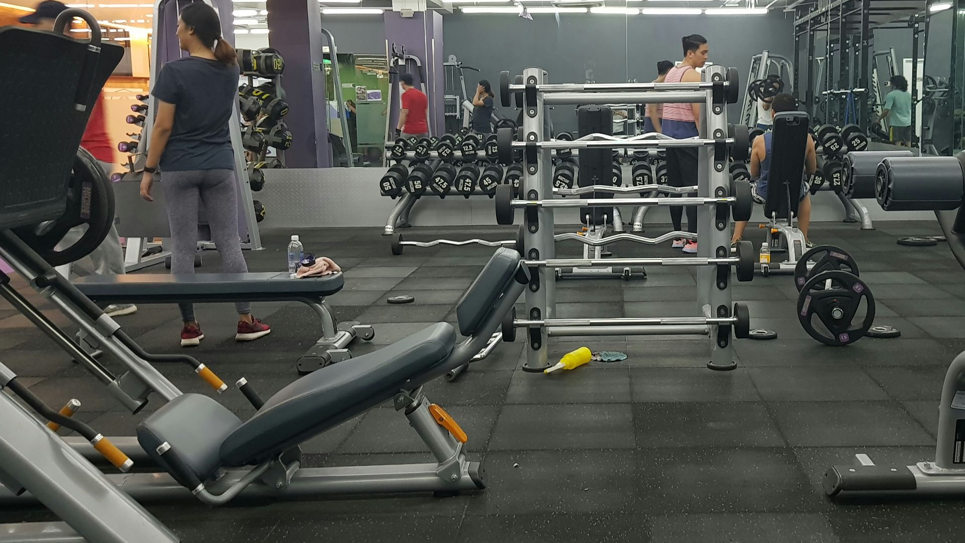 people in gym exercising
