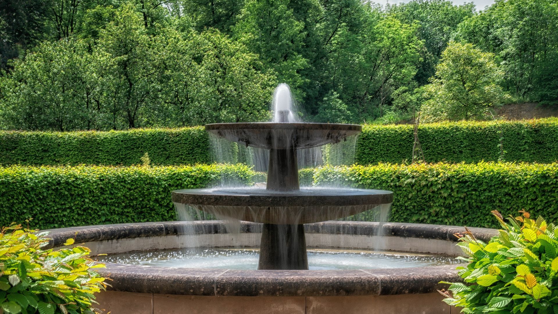 Randoms Acts of Kindness facts