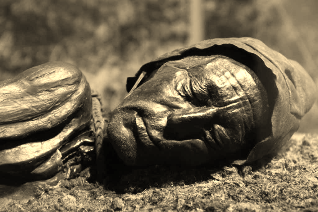 Strange Objects in Museums Facts