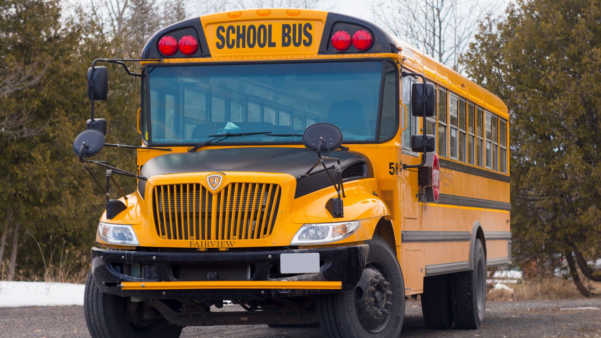 yellow school bus on road