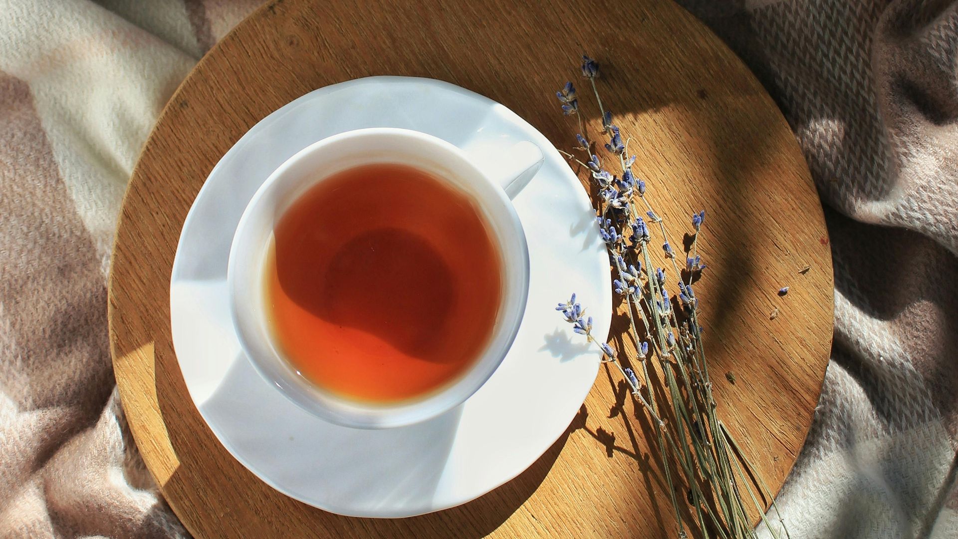 Олена Васіна