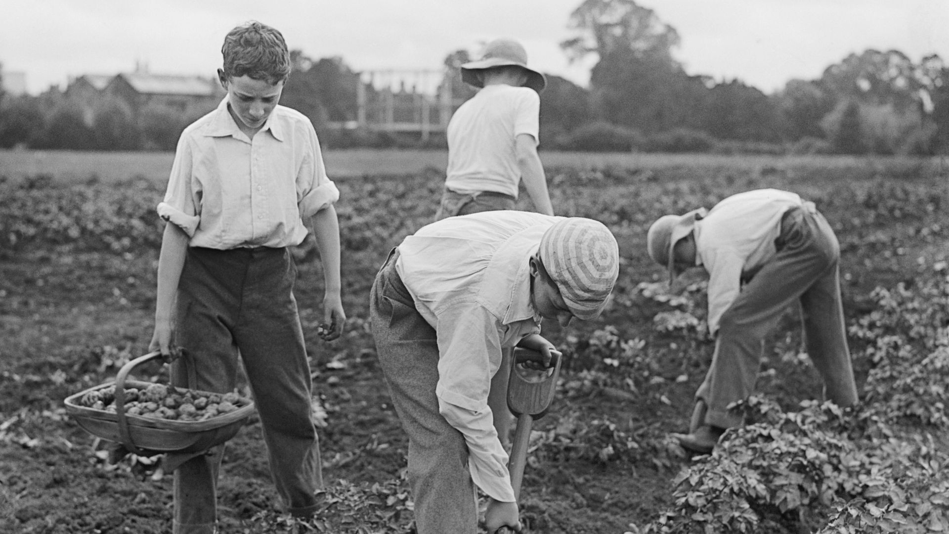 File:The Education System in Britain, 1914-1918 Q30858.jpg