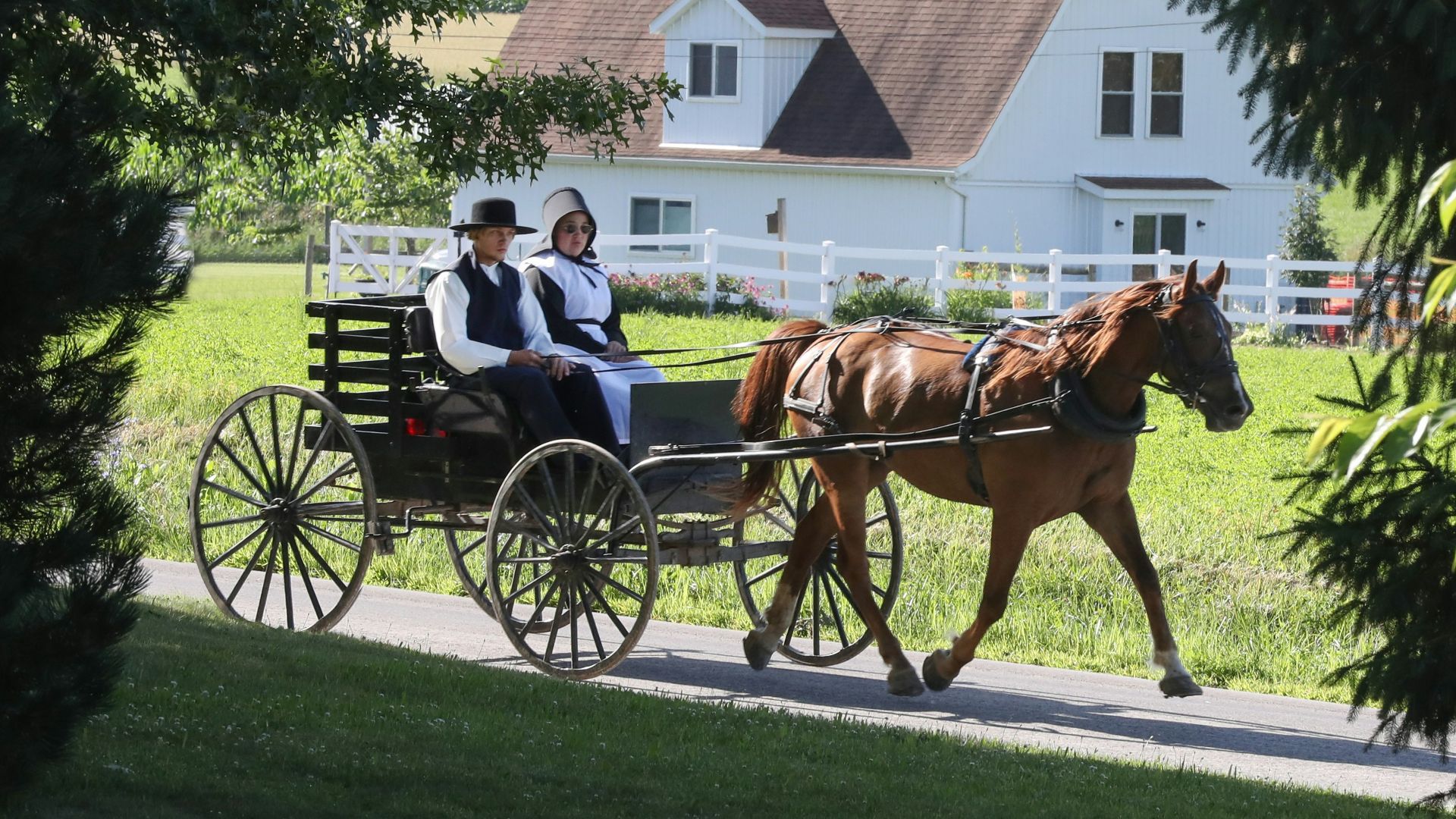 man and woman riding horse carriage