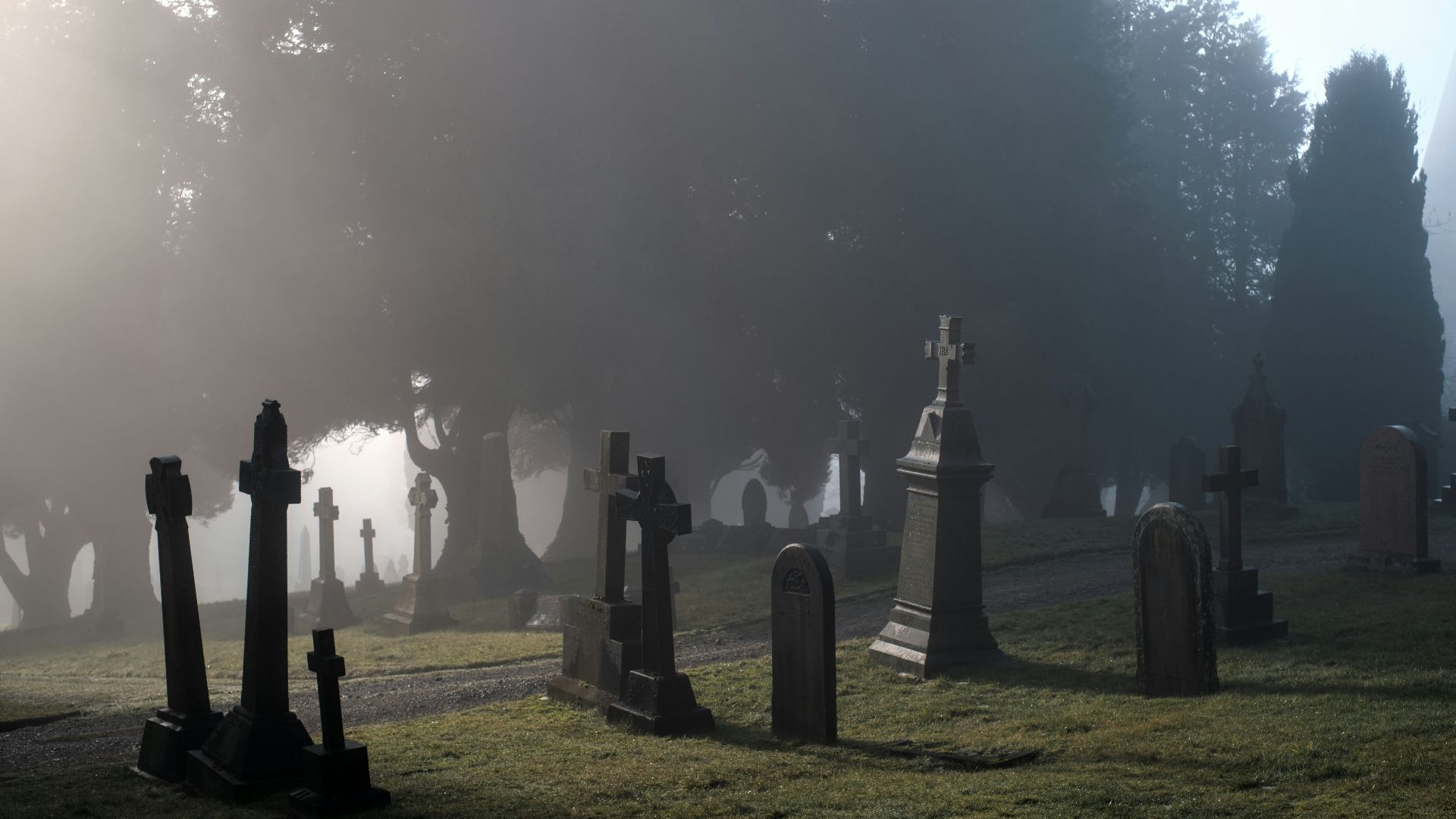 a foggy graveyard with tombstones in the foreground