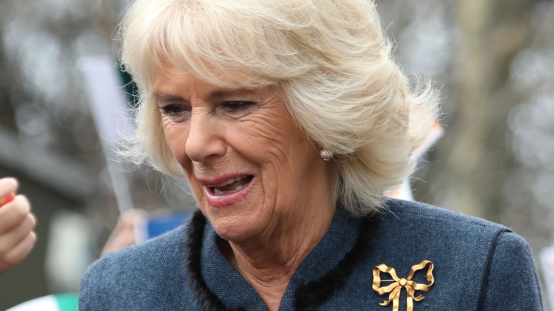 File:Camilla Parker-Bowles en 2018.jpg