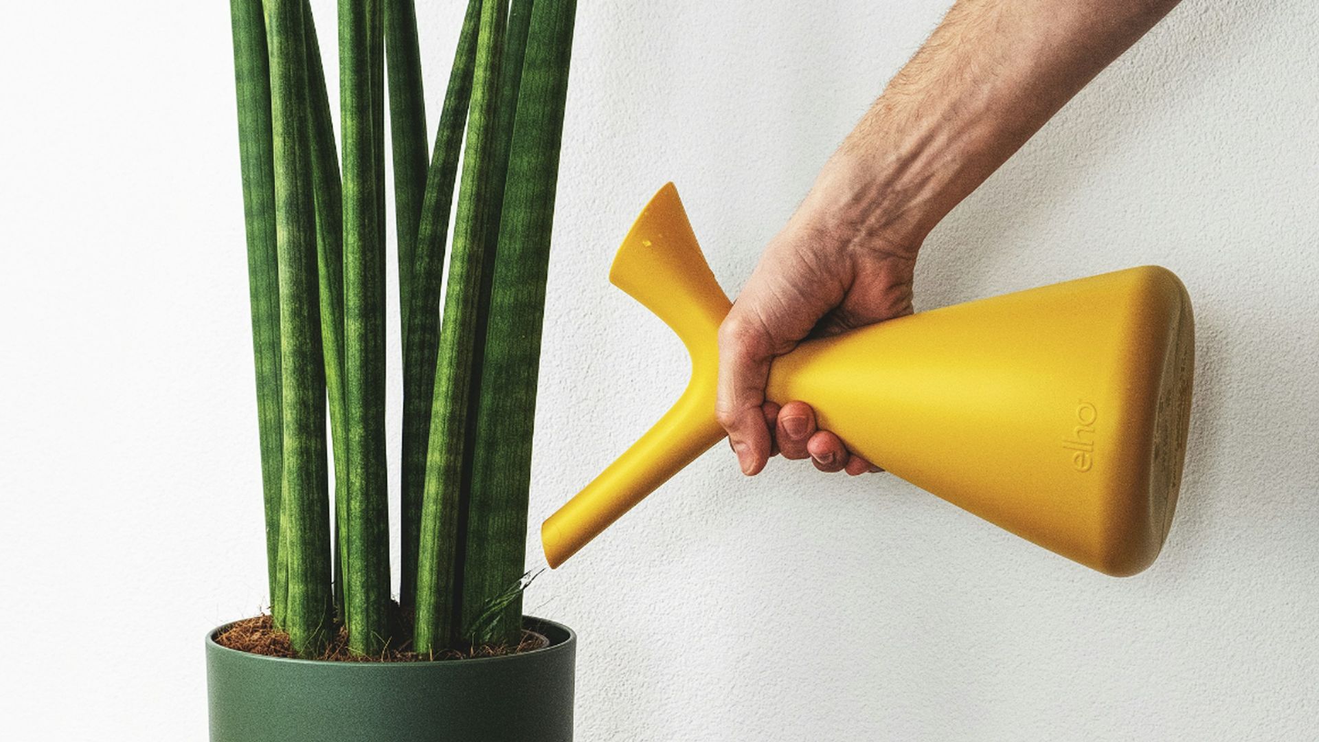 yellow flower in green ceramic pot