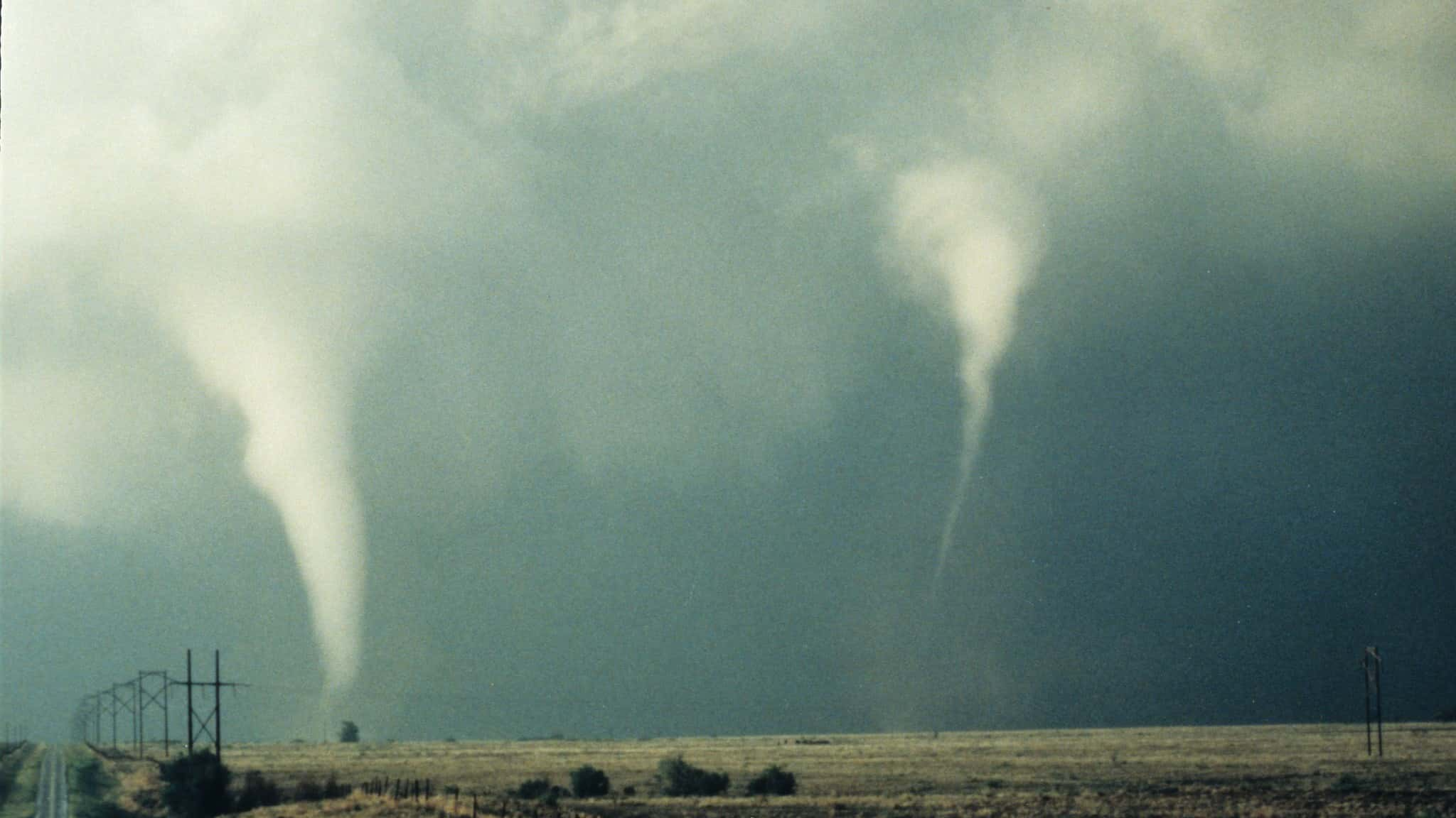 Incredible Drill Sergeants