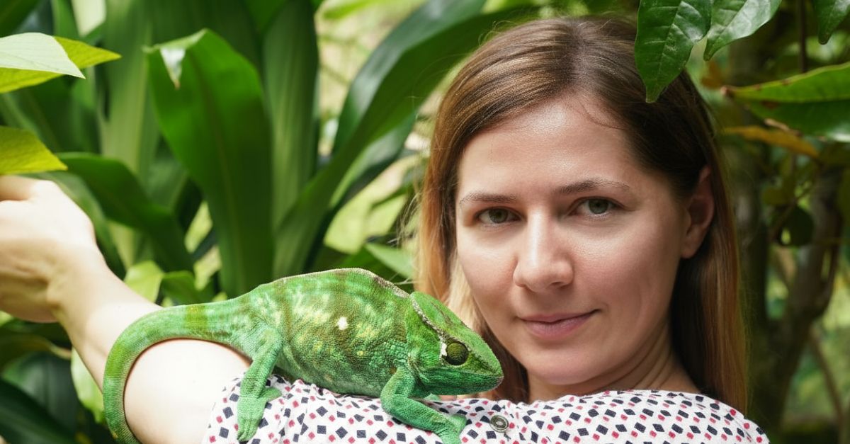 Colors reveal dominance.