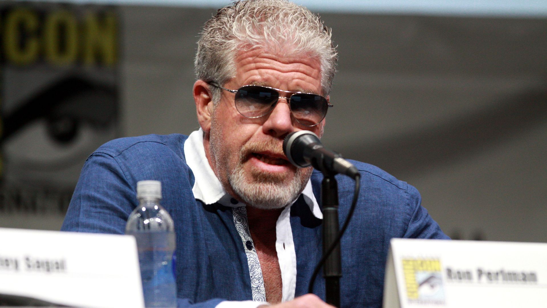 File:Ron Perlman (9363242129).jpg