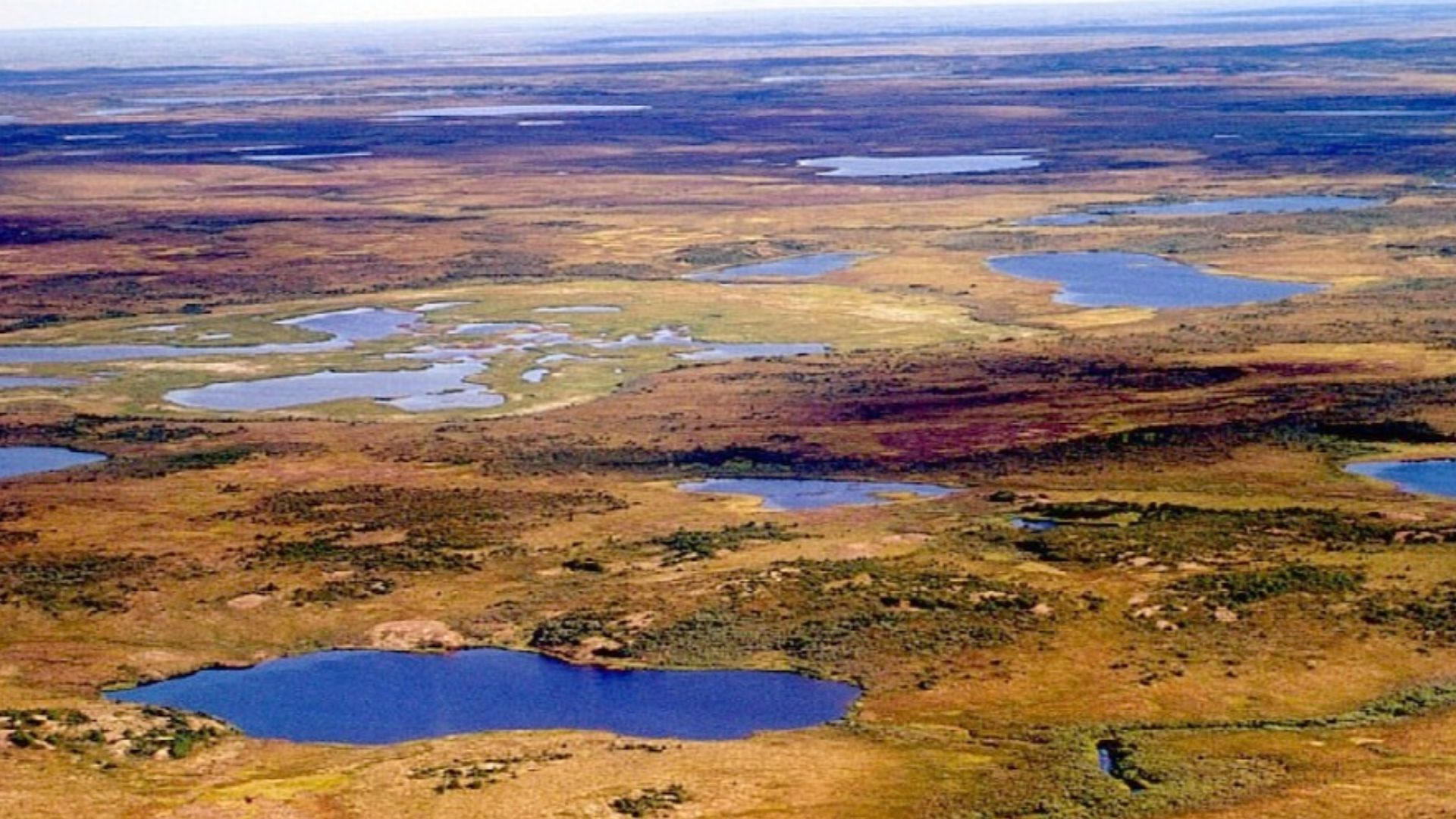File:Tundra in Siberia.jpg