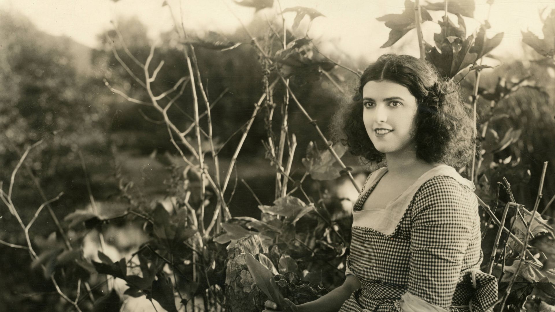 File:Virginia Rappe, film actress (SAYRE 8647).jpg