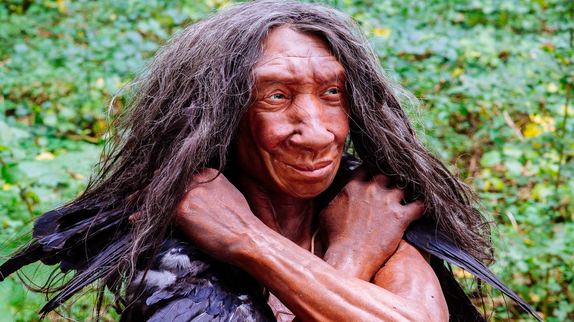 File:Homo sapiens neanderthalensis (Fundort Gibraltar).jpg