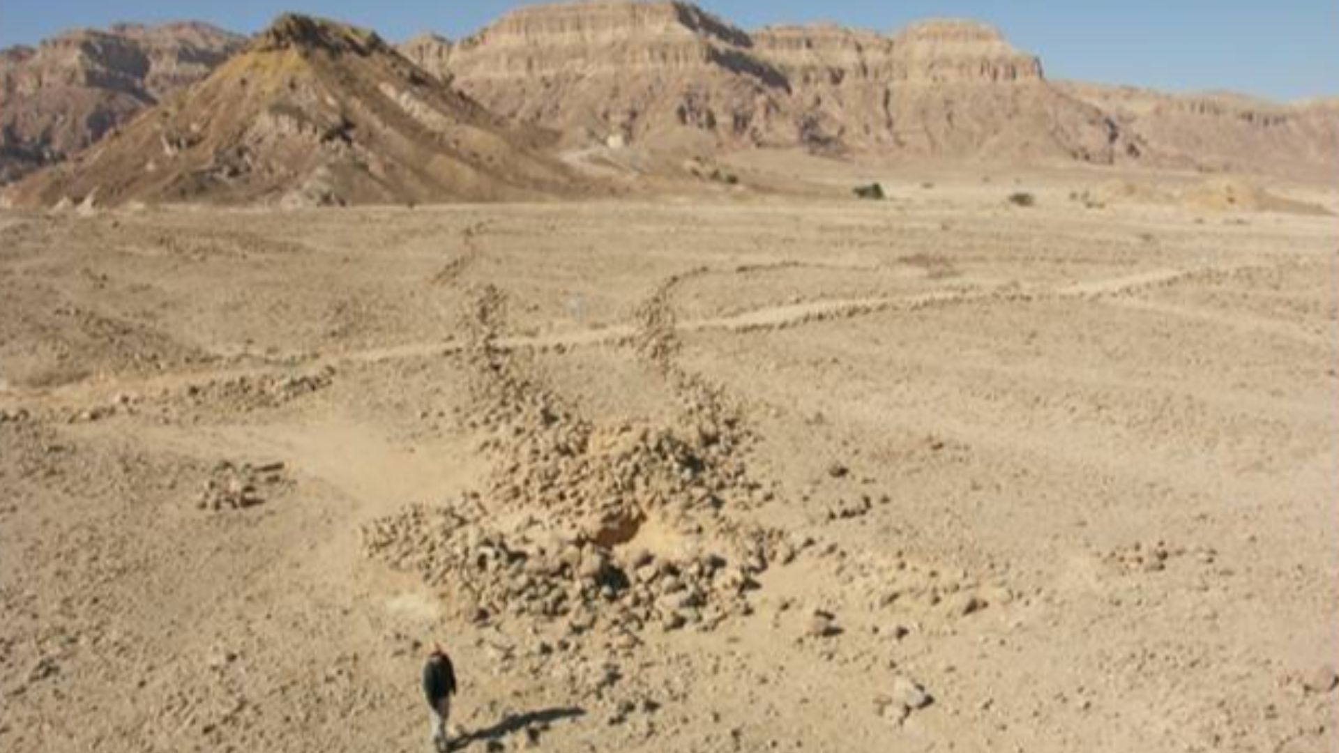 File:Head of Samar west Desert Kite.jpg