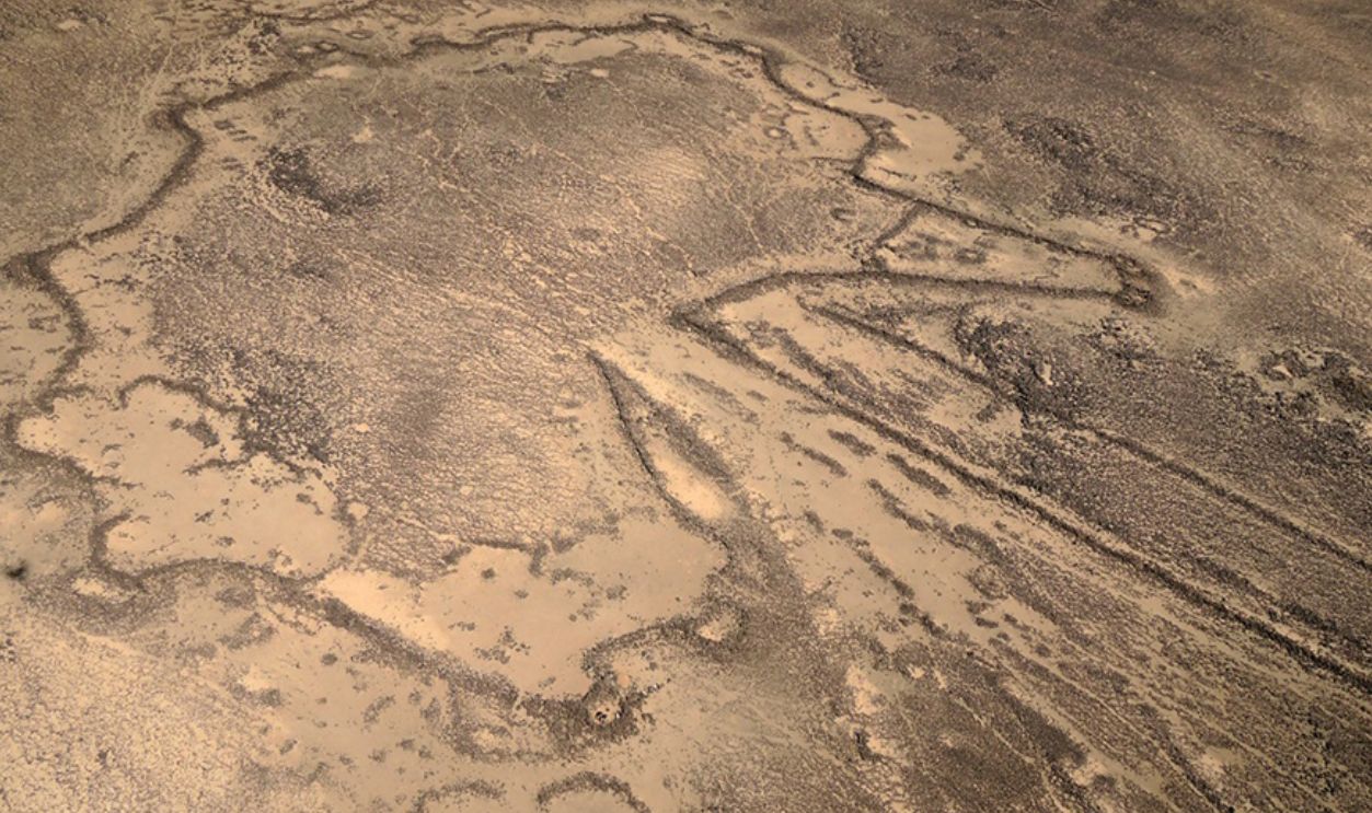 Desert Kites Reveal Sophisticated Hunting Strategies