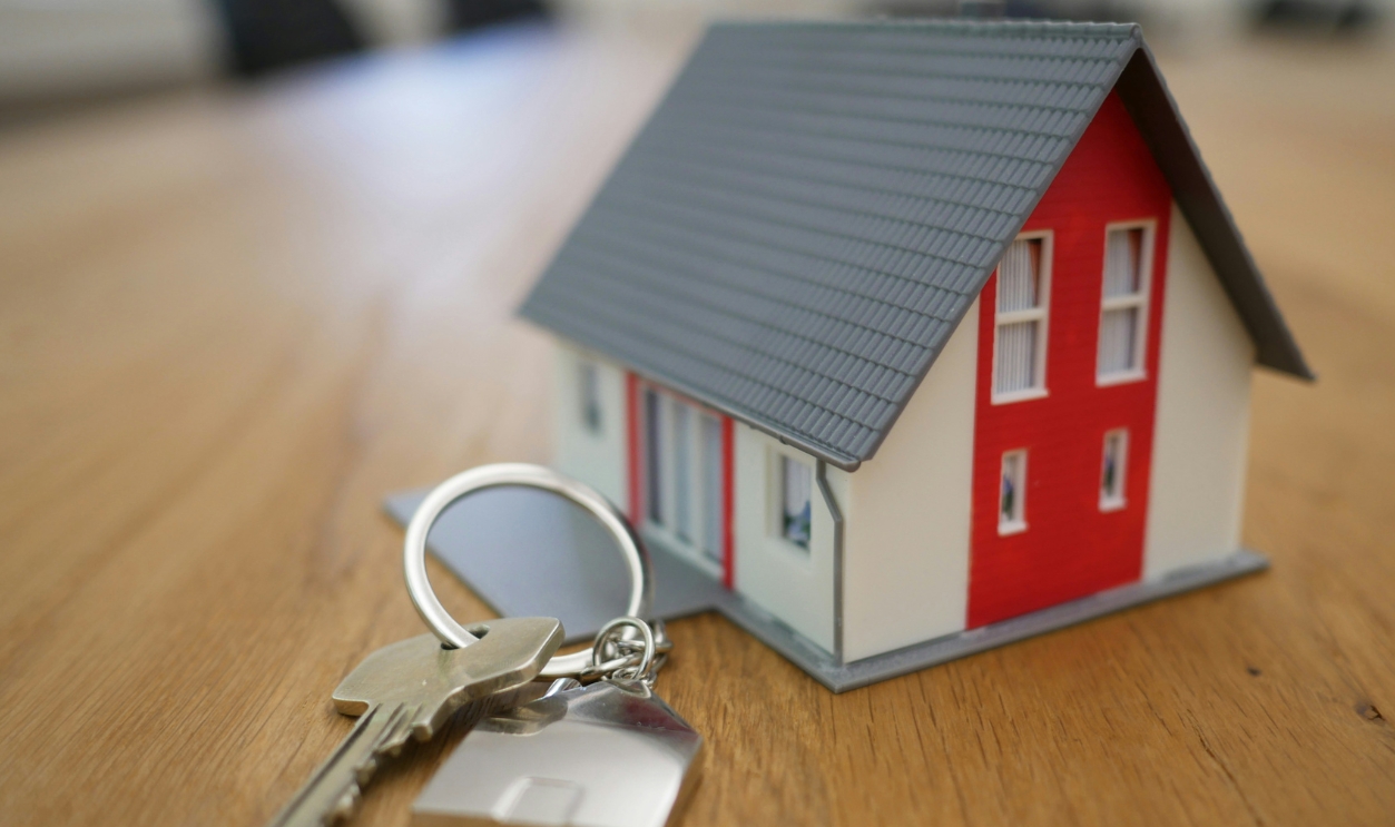 Tierra Mallorca, Unsplash