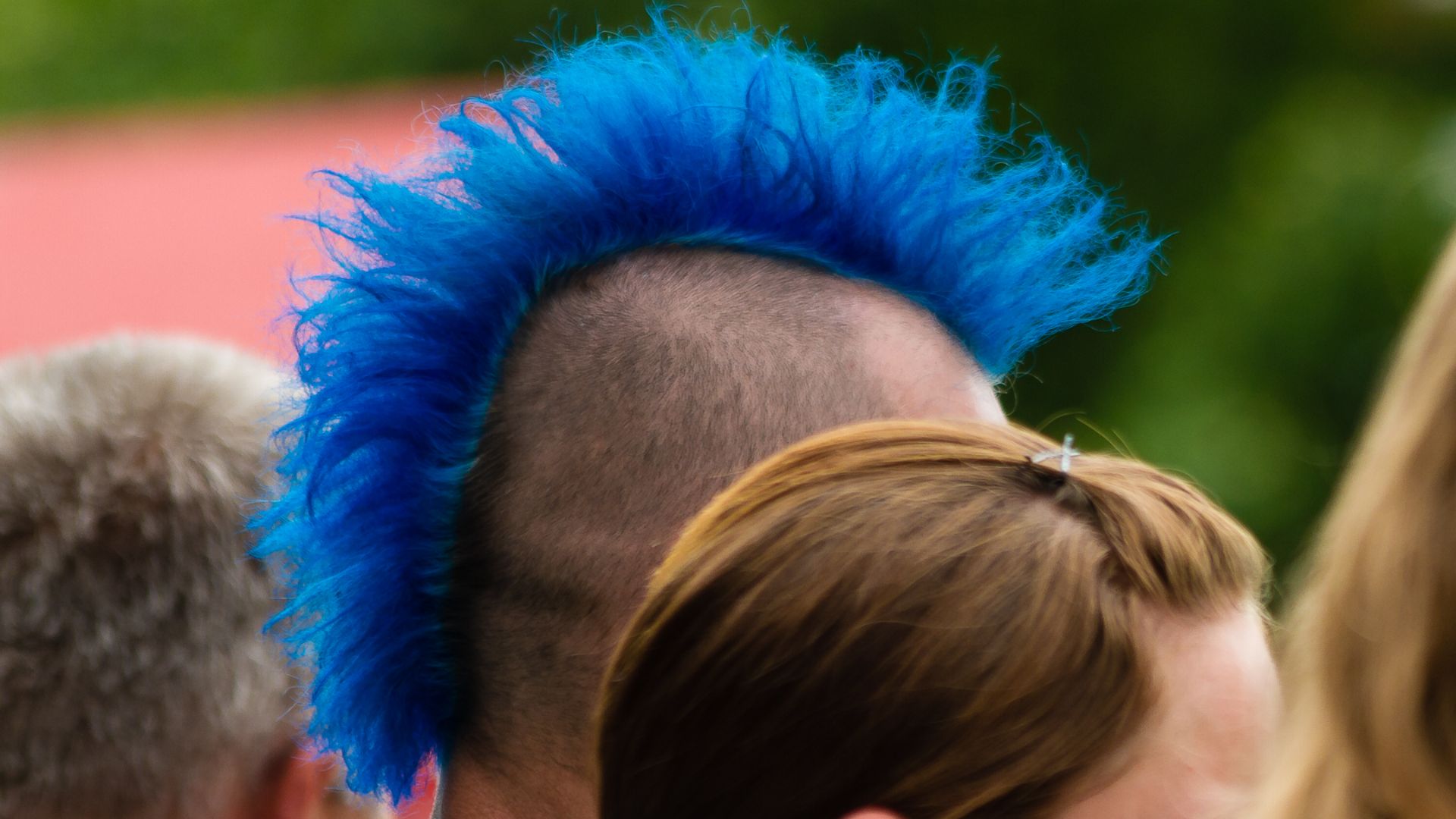 File:2012 05 27 062 Irokesenschnitt.jpg