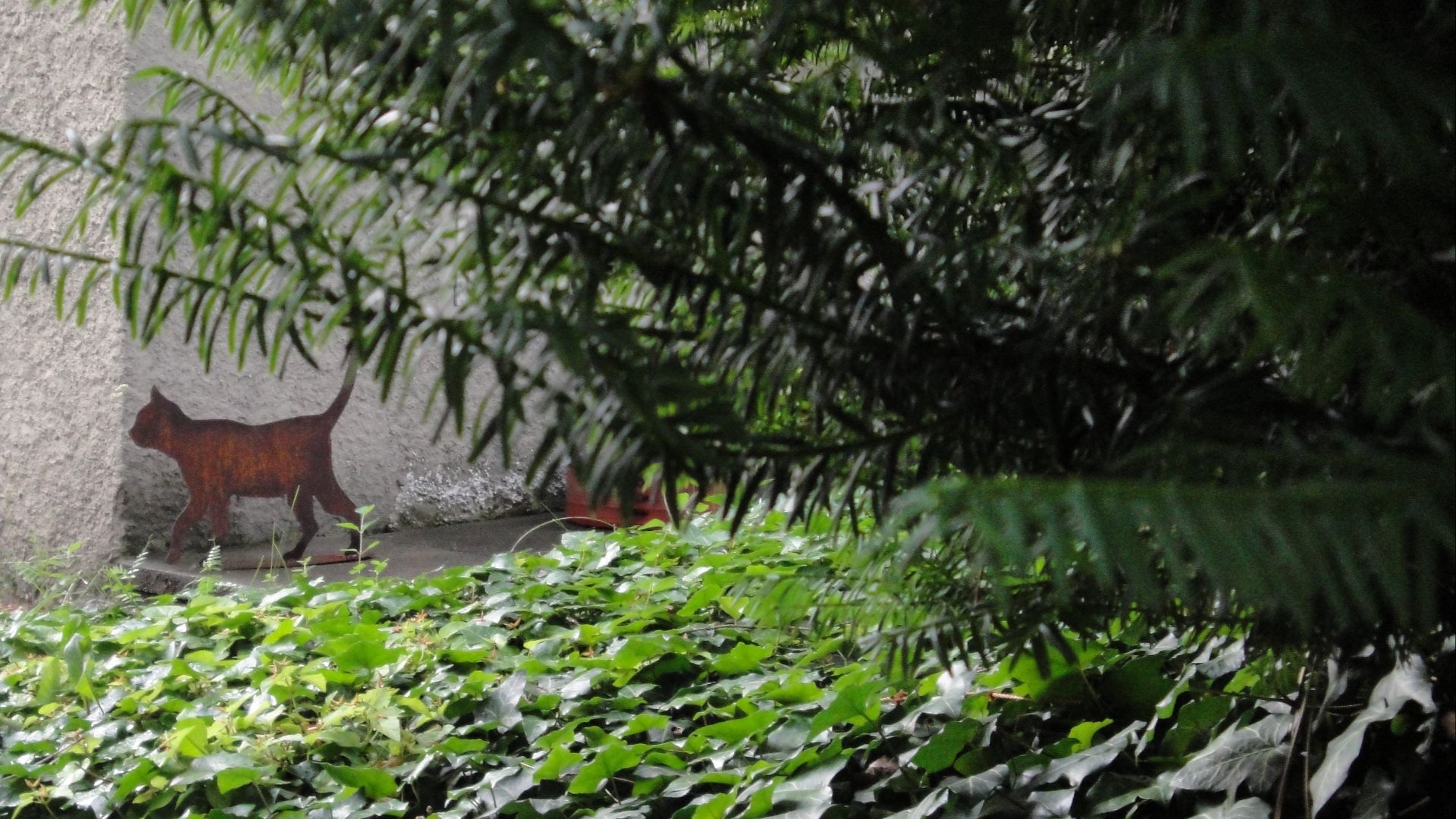 File:Schroedinger cat.jpg