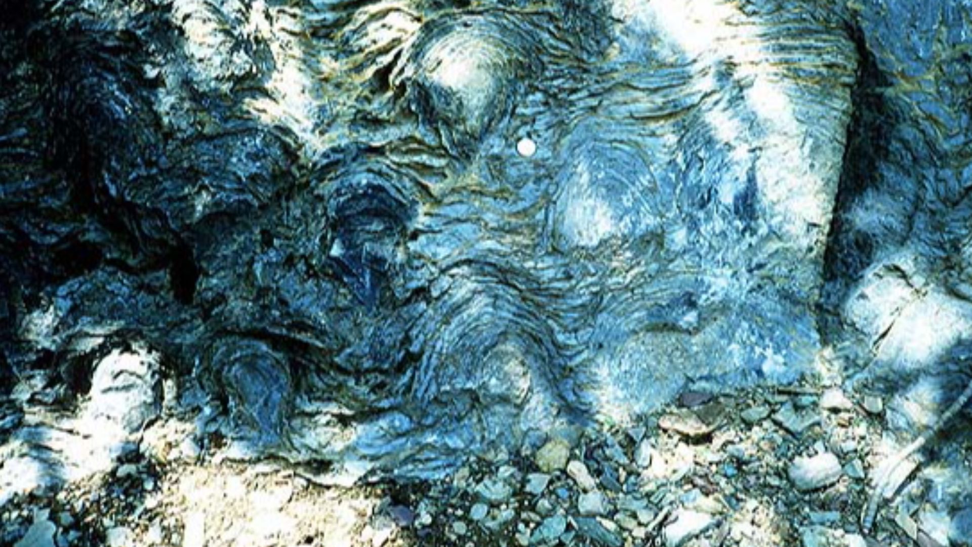 File:Stromatolites.jpg
