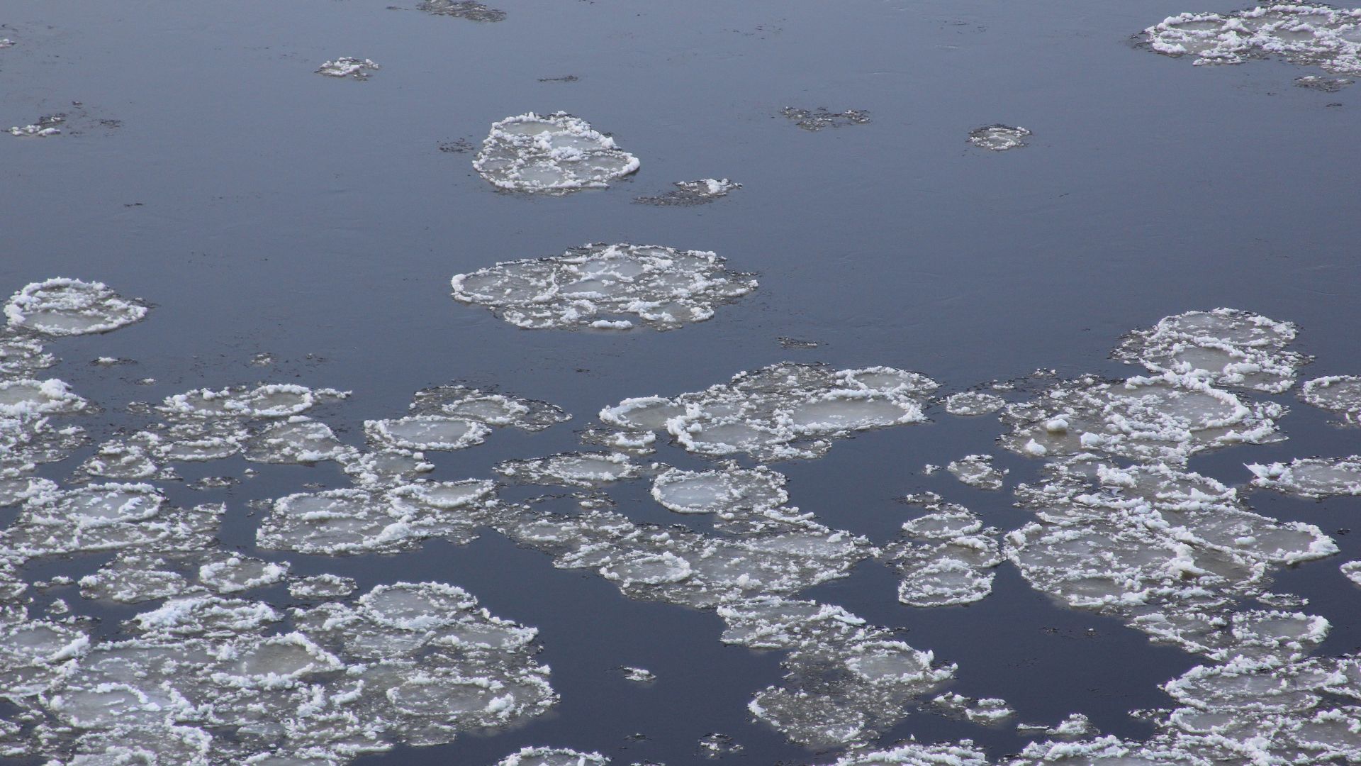 File:Floating ice (46083148462).jpg