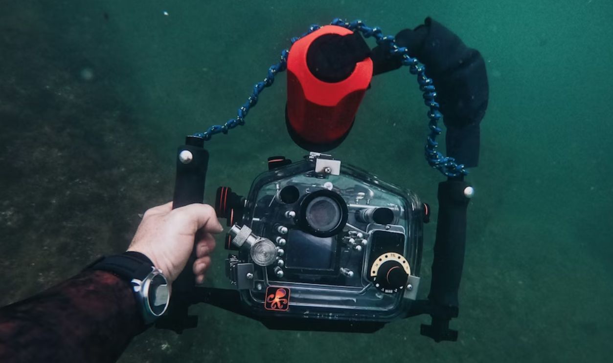 person holding black dslr camera