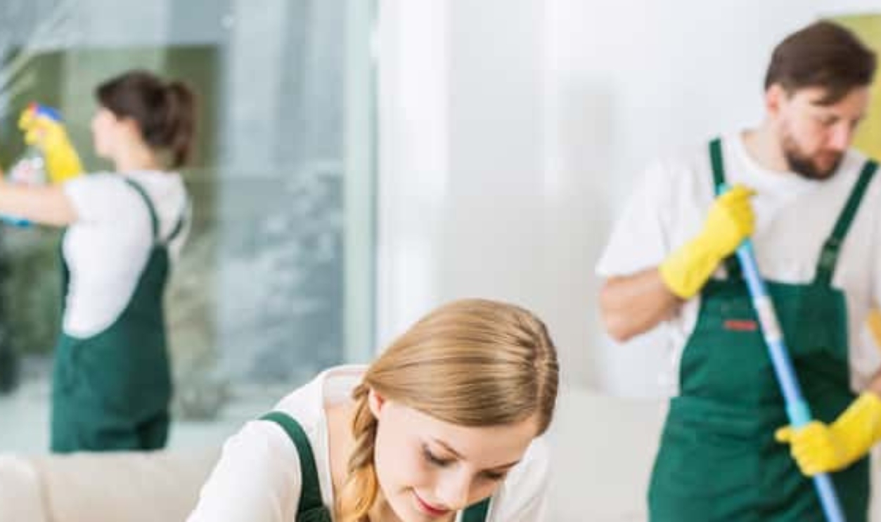 Cleaning Service With Professional Equipment During Work, Shutterstock, 368560784