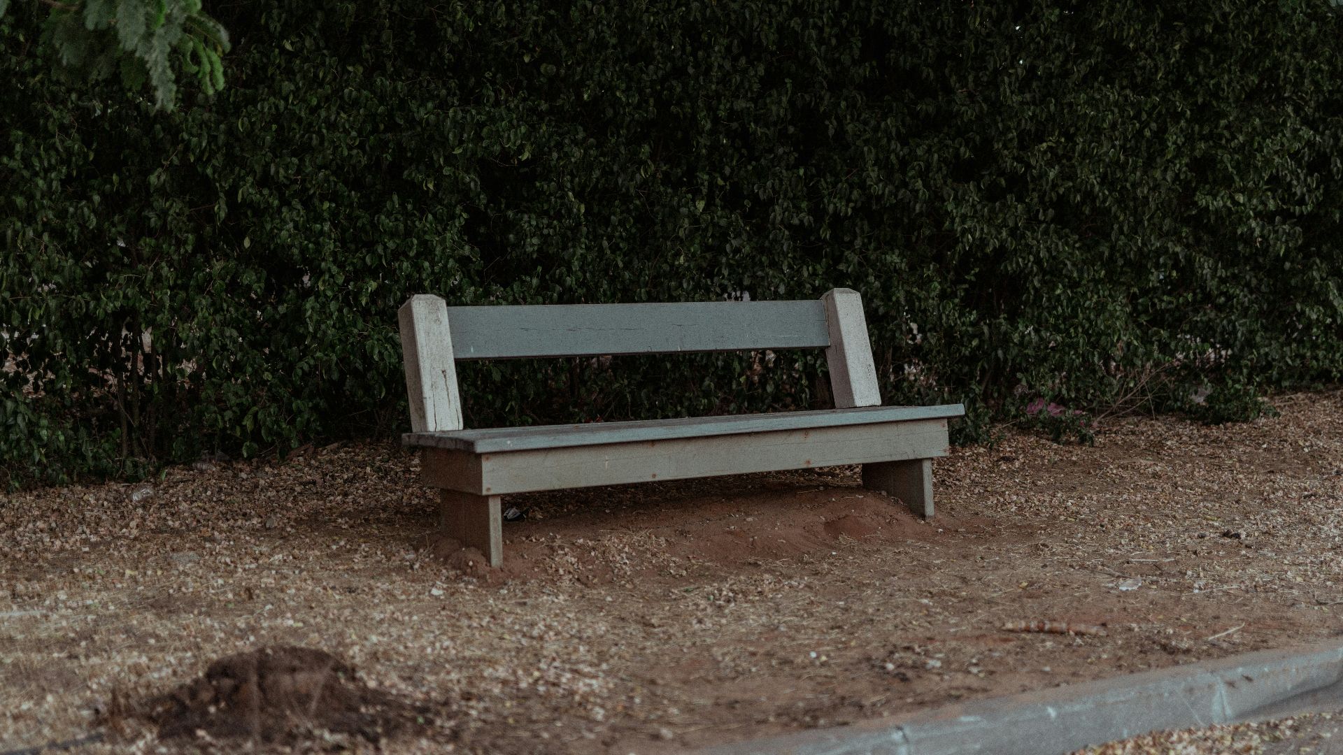 a bench sits unoccupied