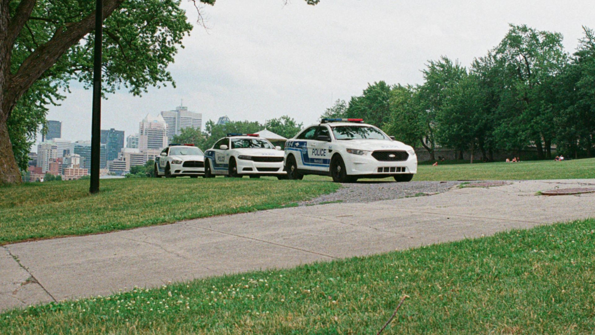 white sedan parked on parking lot during daytime