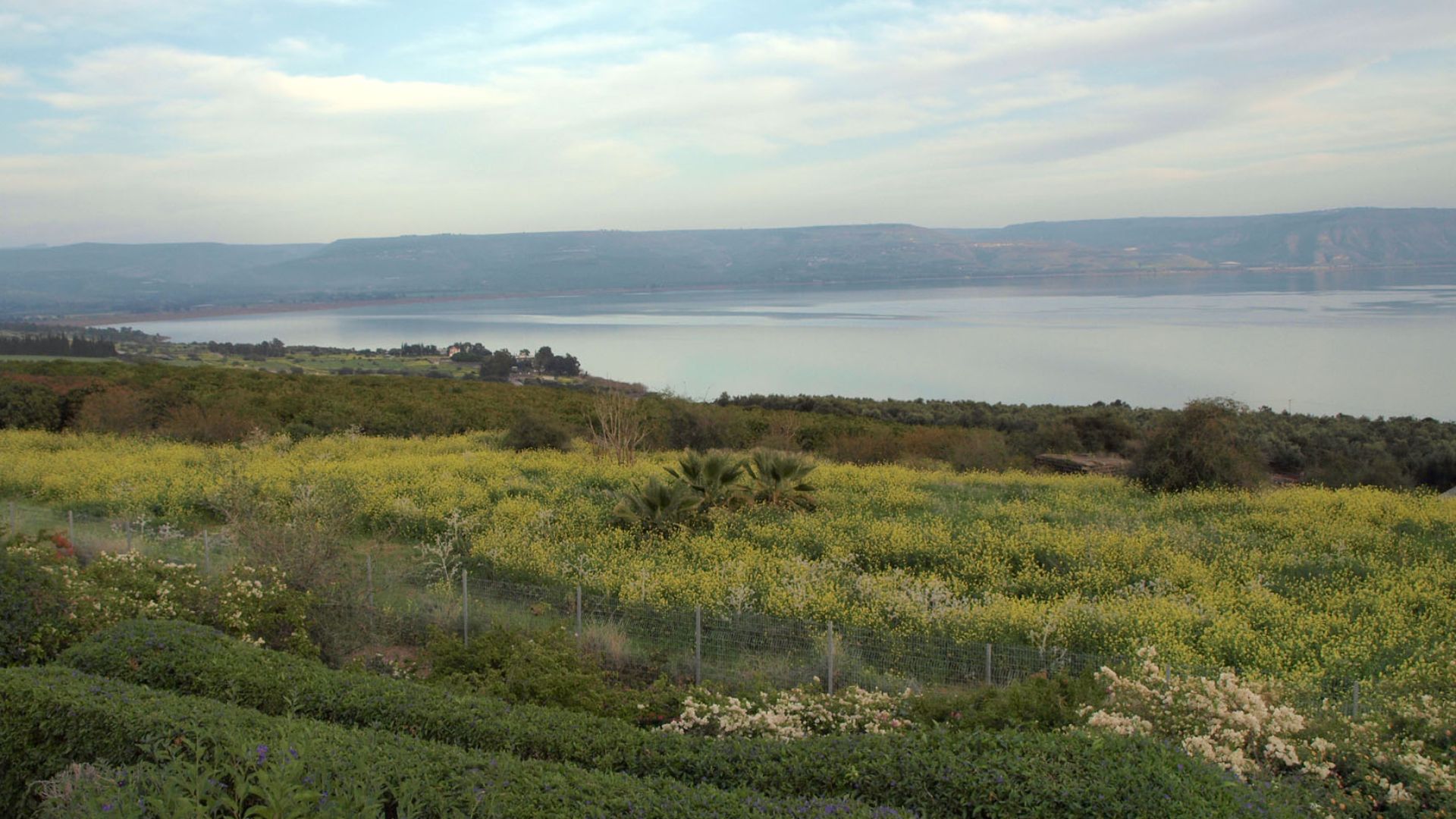 File:View of the Sea of Galilee from the Mount of the Beatitudes.jpg
