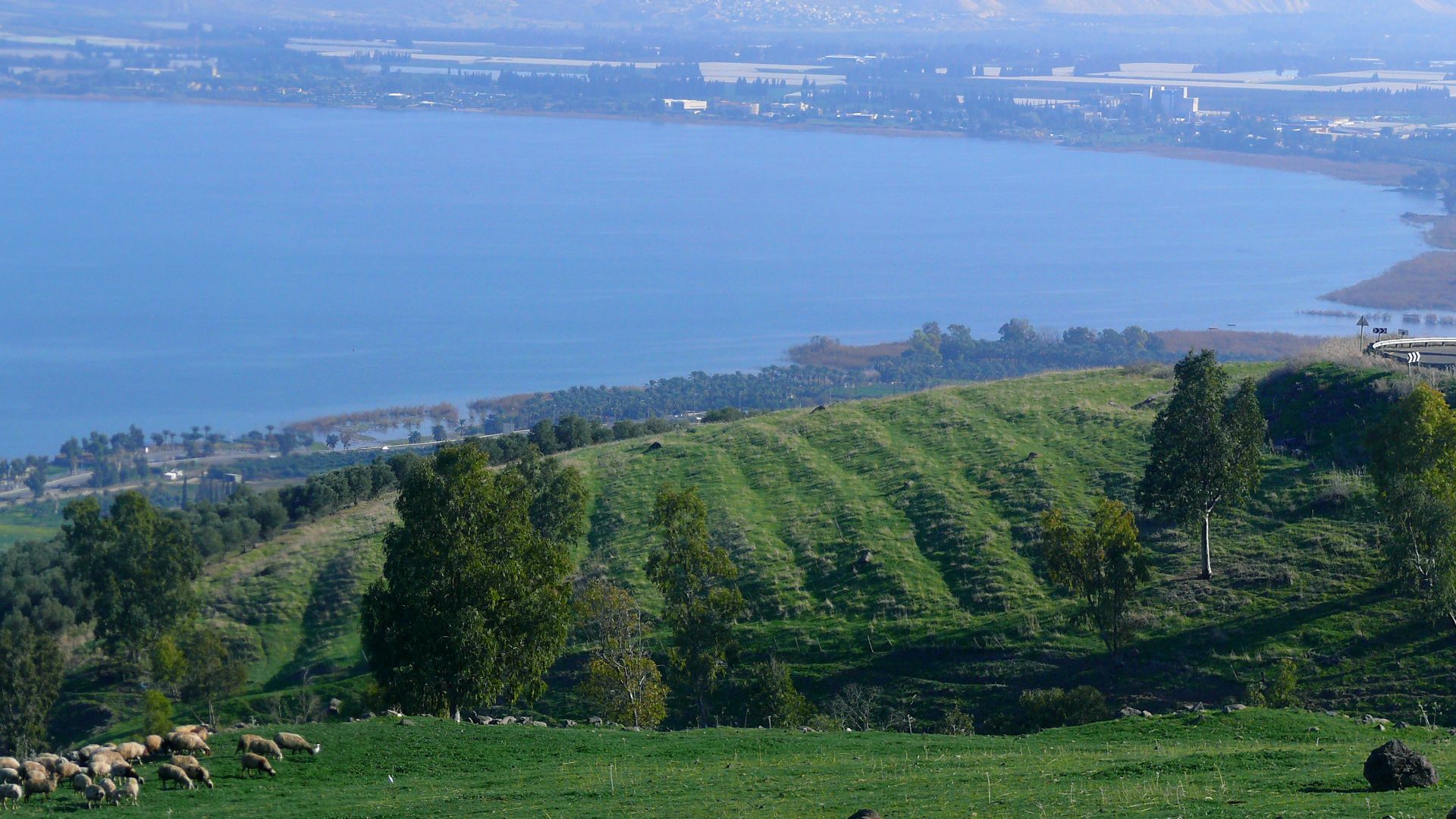 File:Kinneret cropped.jpg