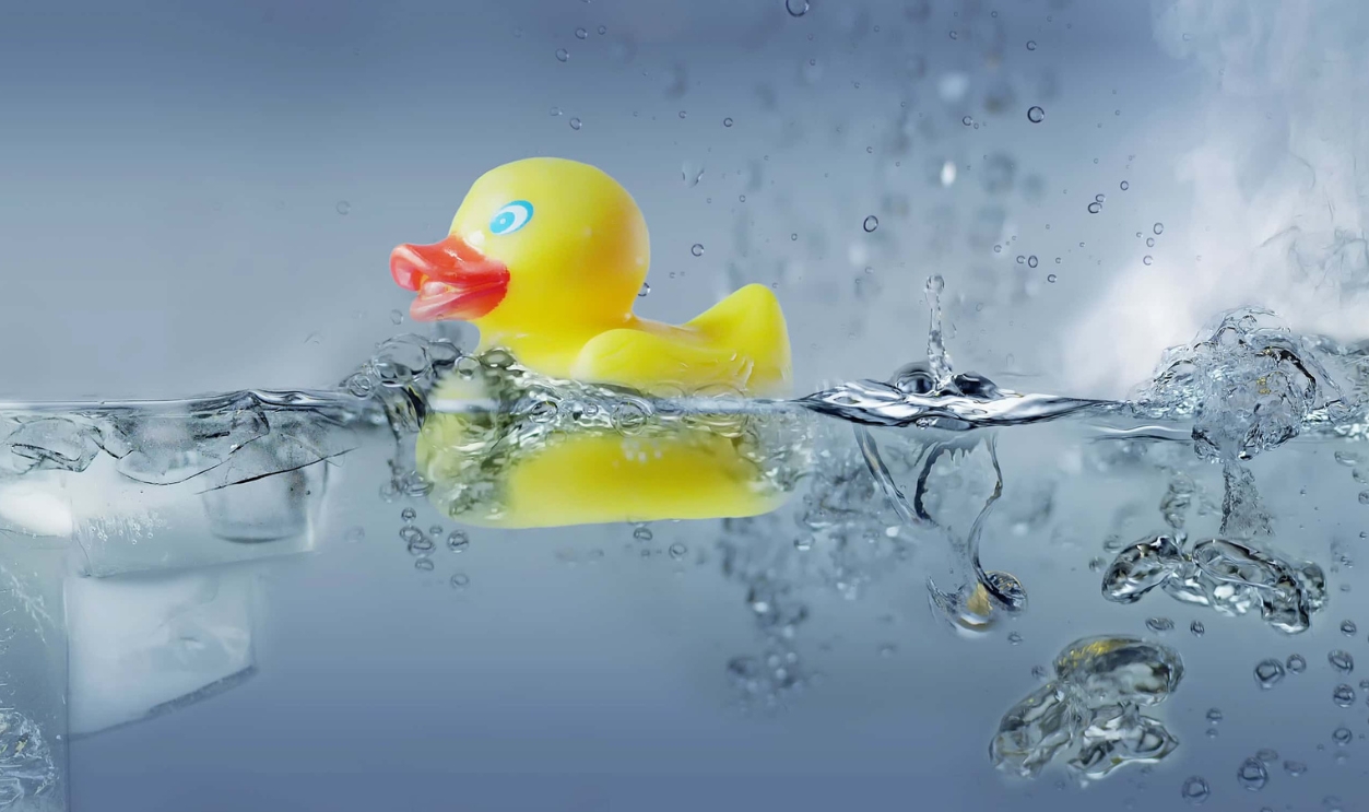 Bath Duck In Water - Solid - Liquid - Gaseous, Shutterstock, 1237784617