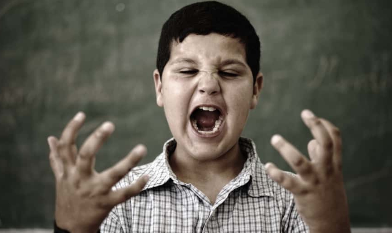 Furious Mad Pupil At School Yelling, Shutterstock, 81988846