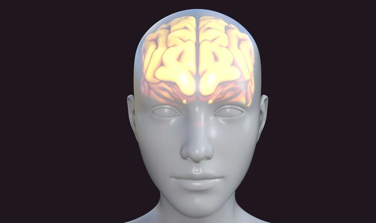 Your Brain Can Survive Several Minutes Without Oxygen