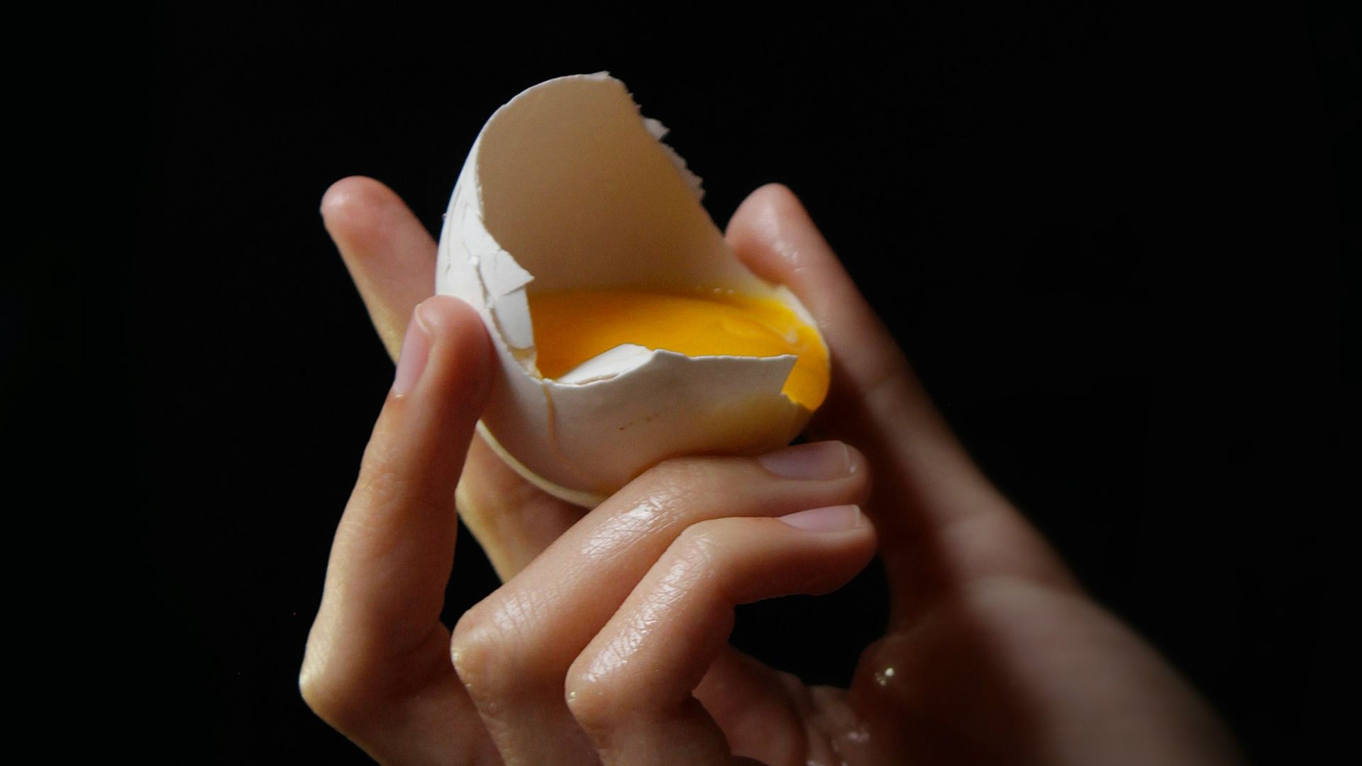 person holding egg
