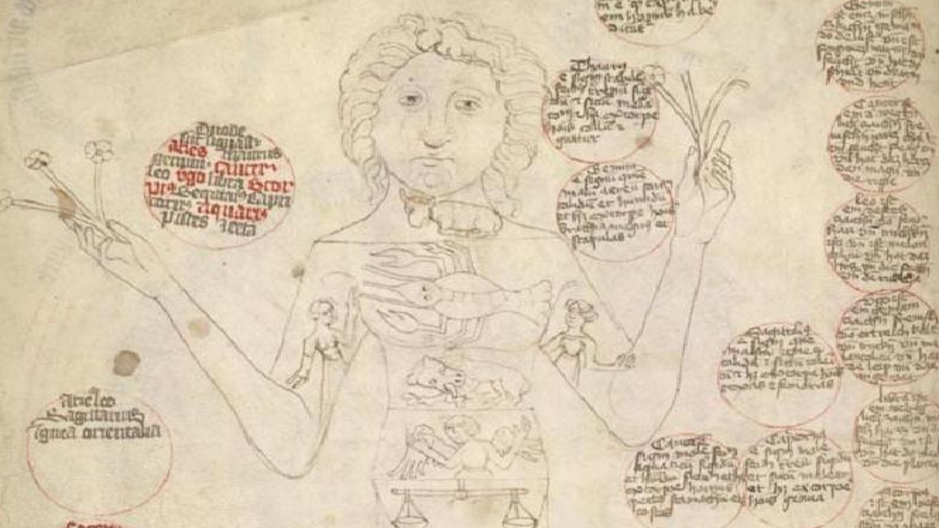 File:Medical Astrology-Man.jpg