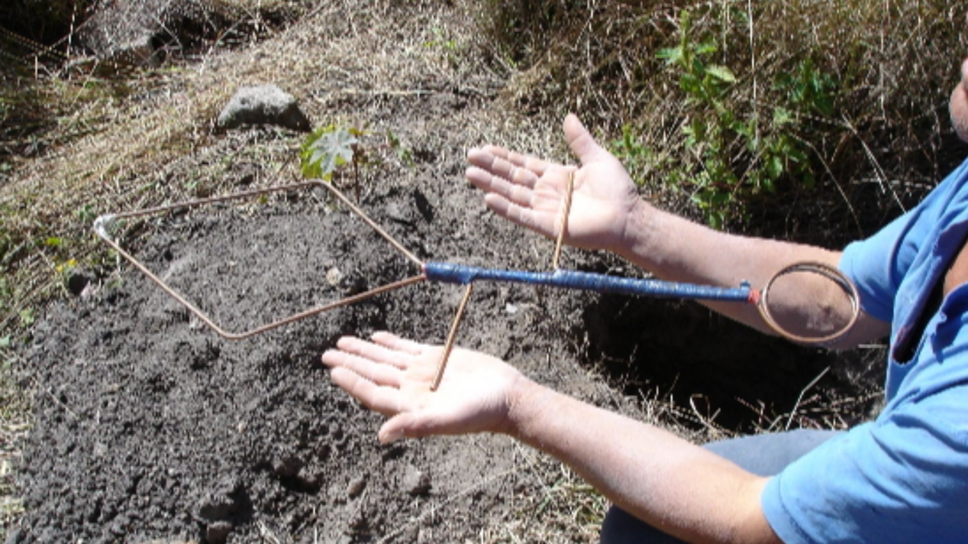 File:Varilla de radiestesia.JPG