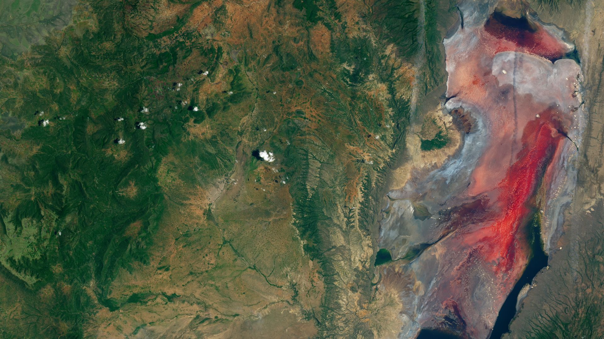 File:Lake Natron (Tanzania) – 2017-03-06 (very early in rainy season) – satellite image.jpg