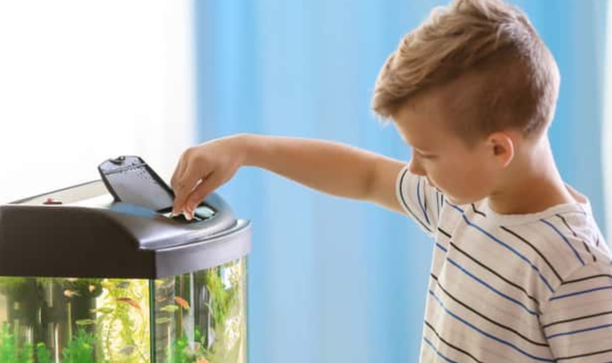 Cute Little Boy Feeding Fish In Aquarium, Shutterstock, 1349757065