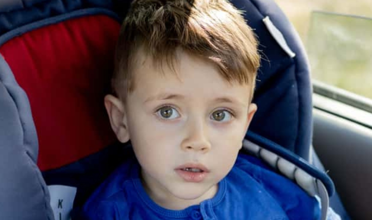 Preschool Cute 3-4 Years Old Boy, Shutterstock, 1850000935