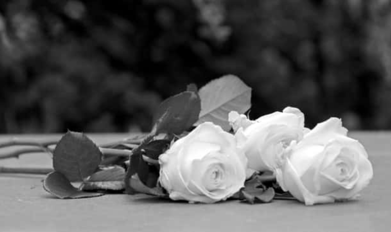 Shutterstock 1318612976-1 (2)