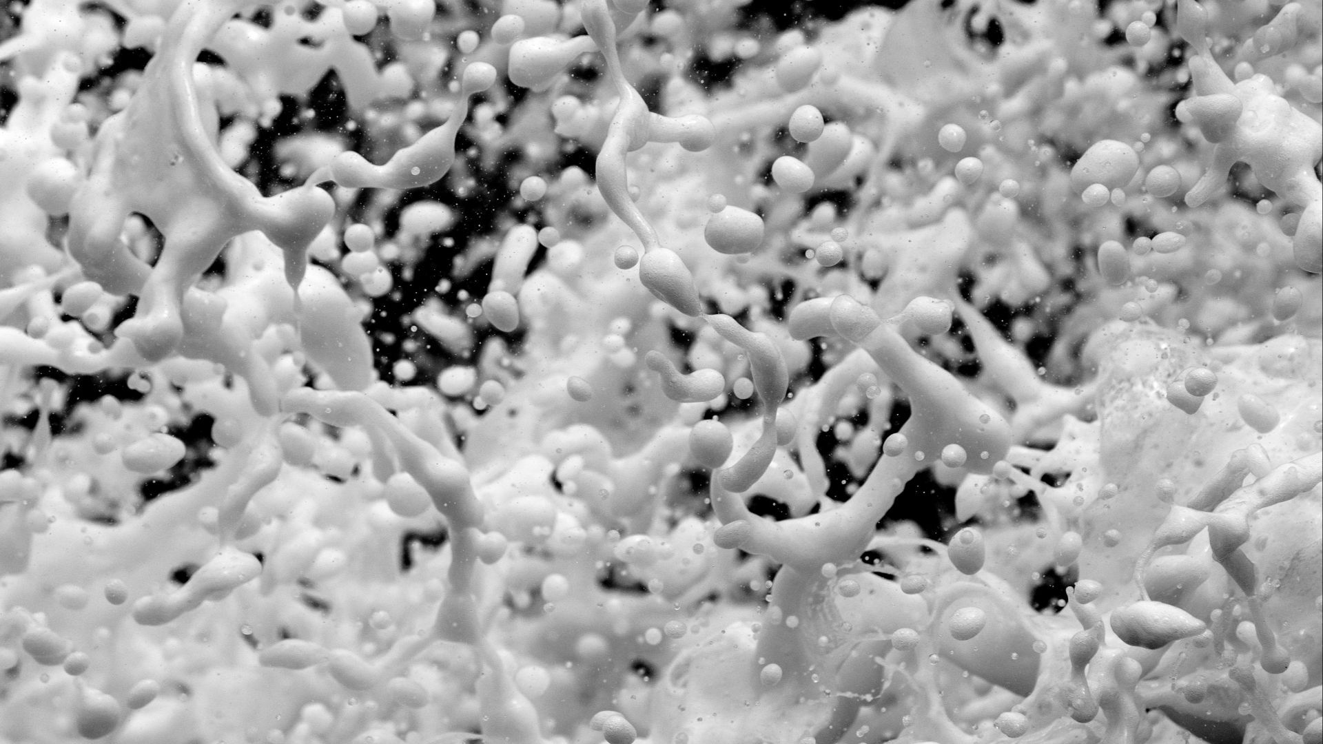 splash of water grayscale photography