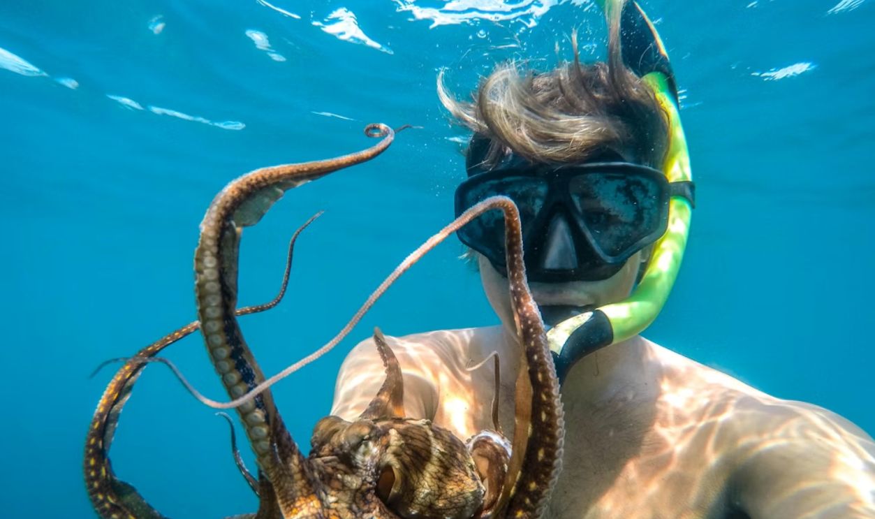 man with octopus