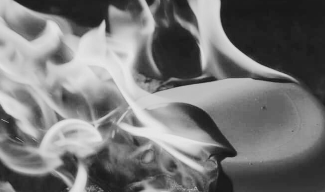 Paper Plate Burning In A Camp Fire, Shutterstock, 1243413901