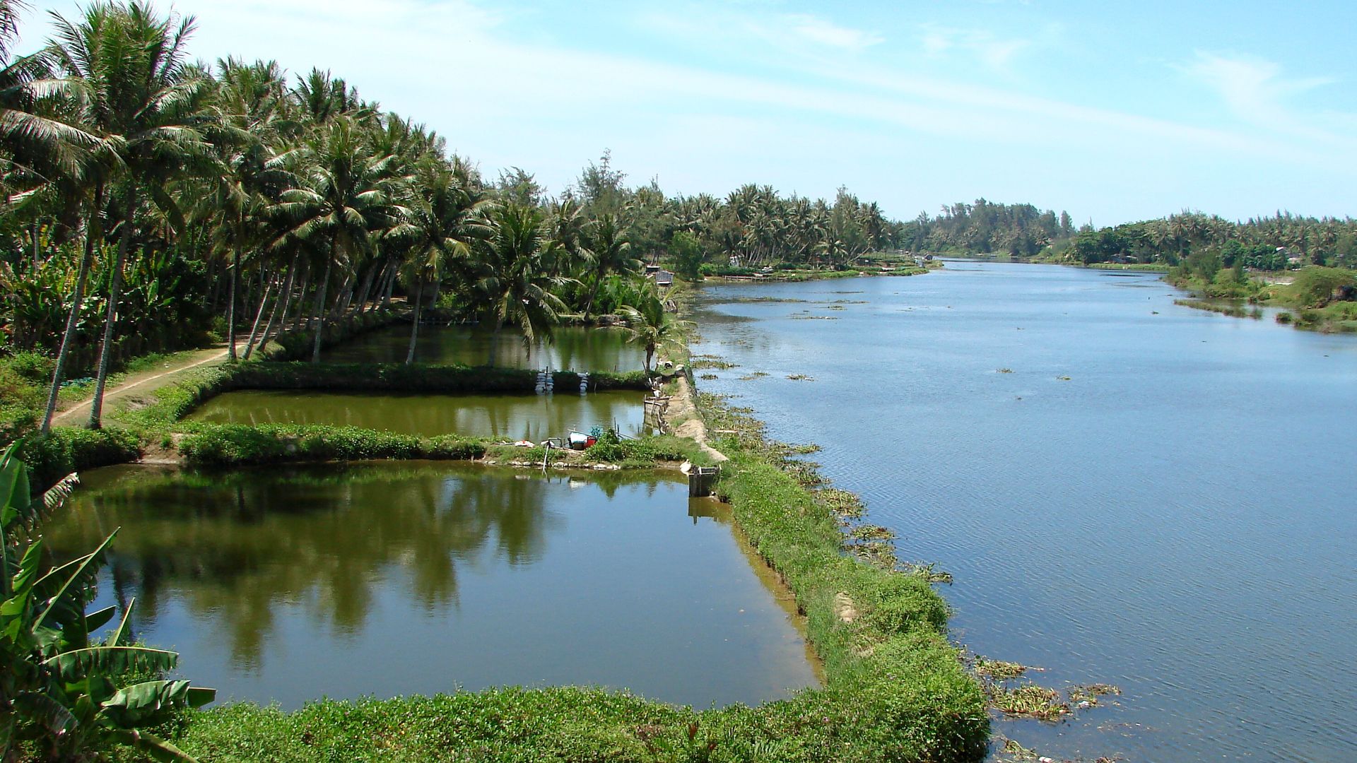 File:Co Luy - My Lai Massacre Village - Vietnam.JPG