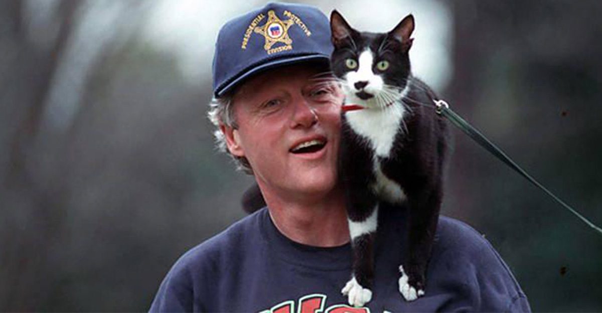 Rss Thumb - Presidential Pets