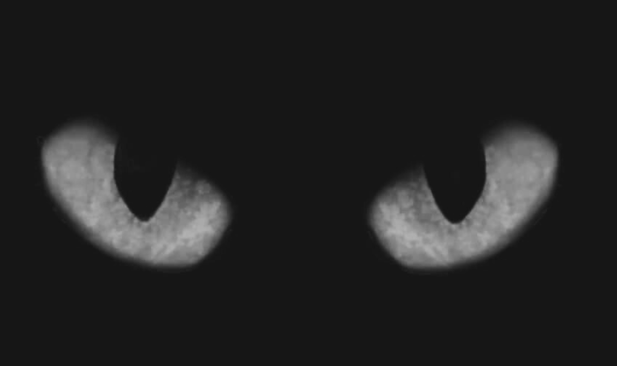 Halloween Red Eyes, Shutterstock, 740755087