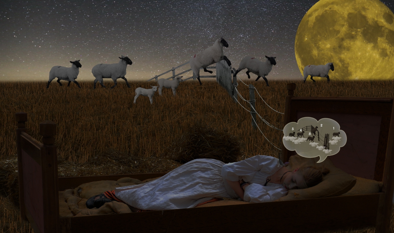 Good Night Sleep Fall Asleep