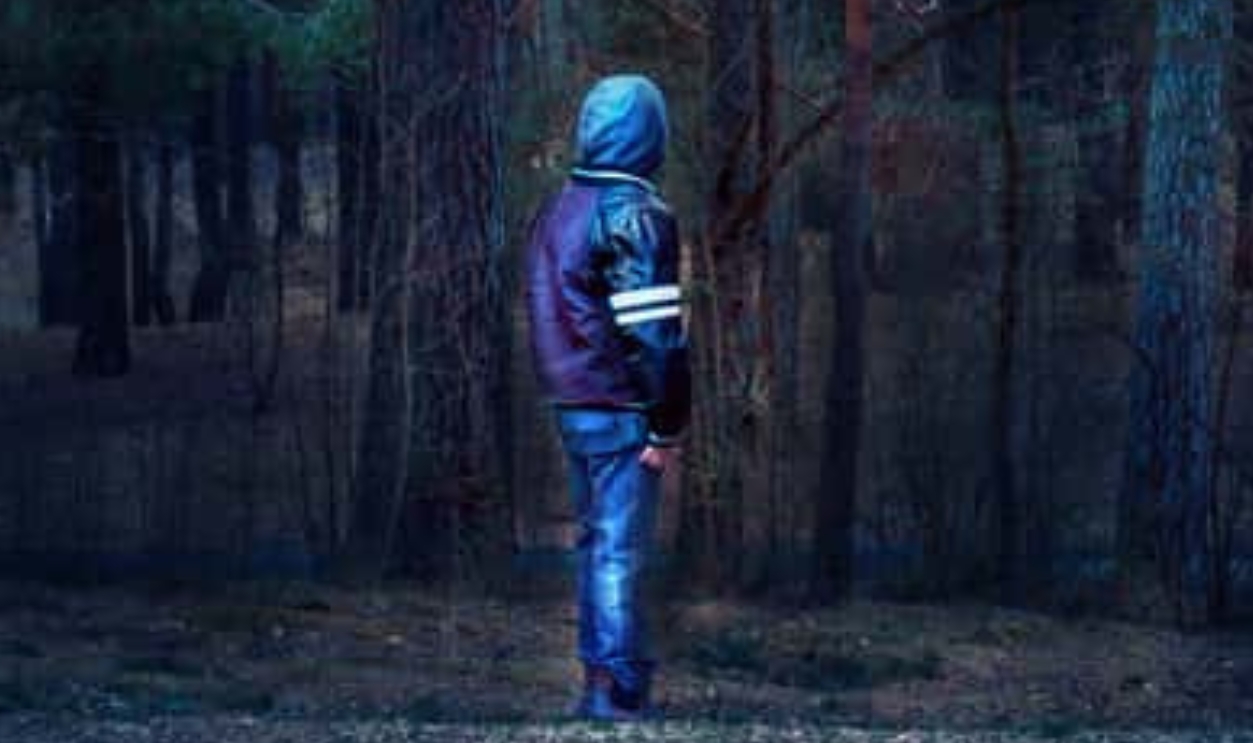 Kid Boy Alone Standing In Forest, Shutterstock, 626462504